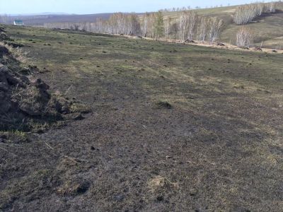 Лот: 3394092. Фото: 1. Земельный участок ДНТ "Холмогоры... Земельные участки