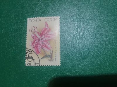Лот: 20004463. Фото: 1. Марка 50. Марки