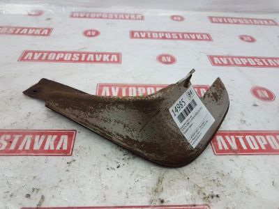 Лот: 21035038. Фото: 1. Брызговик Toyota Corolla Spacio... Кузов