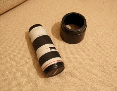 Лот: 6861358. Фото: 1. Canon EF 70-200 f/4L USM. Объективы