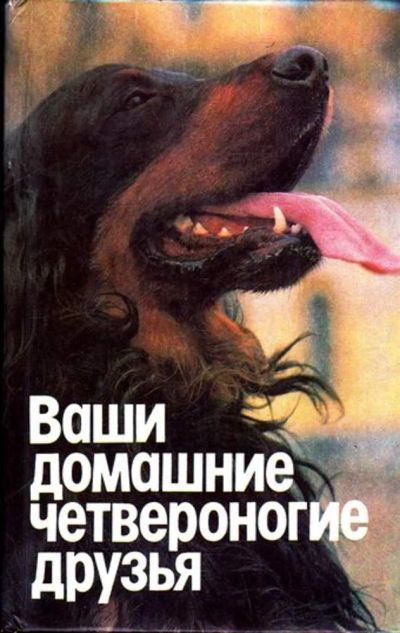 Лот: 23445485. Фото: 1. Ваши домашние четвероногие друзья. Домашние животные