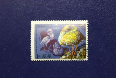 Лот: 7367350. Фото: 1. Почтовая марка №4894 в коллекцию. Марки