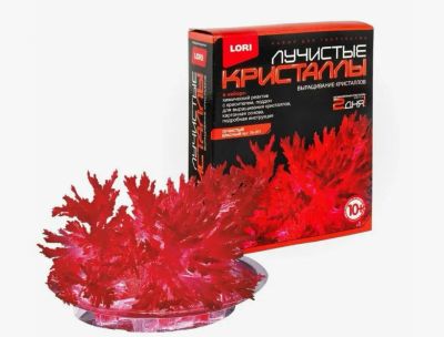 Лот: 25431670. Фото: 1. Набор для творчества Выращивание... Игровые наборы