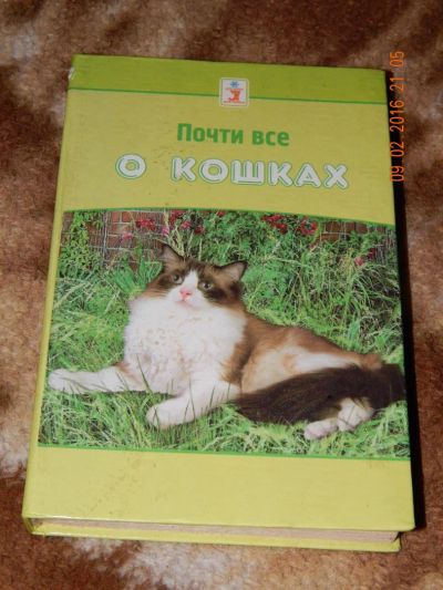 Лот: 6901593. Фото: 1. Почти все о кошках. Другое (справочная литература)