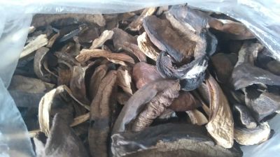 Лот: 9560111. Фото: 1. Грибы белые, сушёные. Грибы