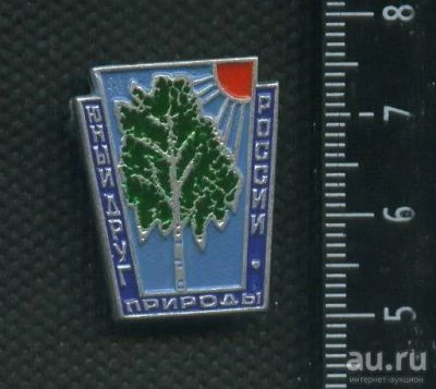 Лот: 17487397. Фото: 1. ( № 8488 ) значки,Юный друг природы. Сувенирные