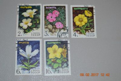 Лот: 9039016. Фото: 1. Марки СССР 1977г. Цветы гор Сибири... Марки