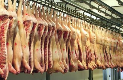 Лот: 7204730. Фото: 1. Продам свинину оптом. Мясо, птица, яйцо