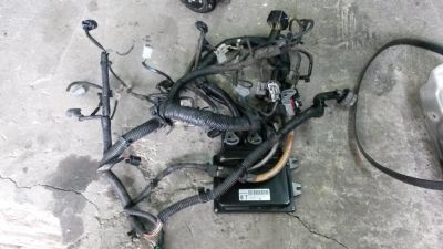 Лот: 8009830. Фото: 1. Фишка двигателя Nissan MR20DE. Электрооборудование
