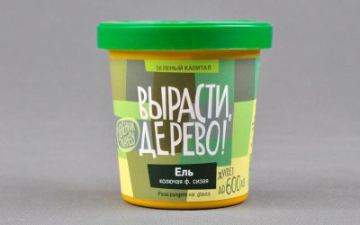 Лот: 12719976. Фото: 1. Вырасти дерево: Ель колючая ф... Настольные игры, карты