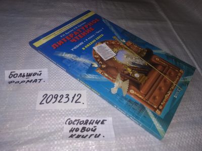 Лот: 21644877. Фото: 1. ок...(2092312)Бунеев Р. Литературное... Для школы