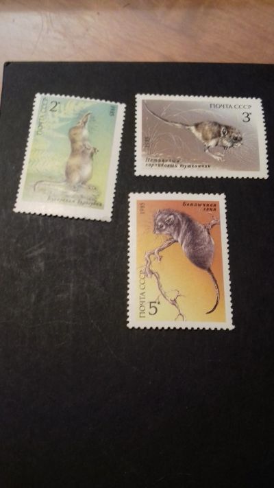 Лот: 18599882. Фото: 1. 1985, август. Животные Красной... Марки