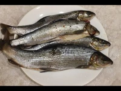 Лот: 7698605. Фото: 1. Хариус малосольный. Икра, рыба, морепродукты