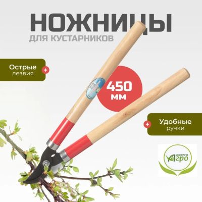 Лот: 24957414. Фото: 1. Ножницы садовые для кустарников... Ручные орудия труда