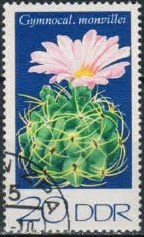 Лот: 20276258. Фото: 1. 1974. ГДР. Кактусы. н.с. № 1667. Марки
