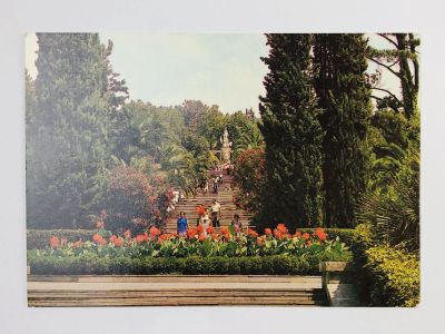 Лот: 23297223. Фото: 1. Сочи. Дендрарий. Открытка. 1983. Открытки, конверты