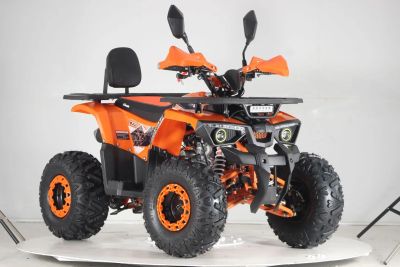 Лот: 25121612. Фото: 1. Квадроцикл FXMOTO HORNET 125. Снегоходы, квадроциклы