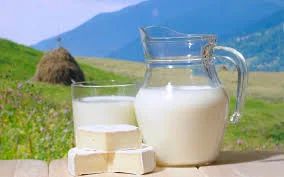 Лот: 4845321. Фото: 1. продам Козье молоко. Молоко и молочные продукты