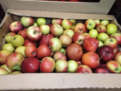 Лот: 15036212. Фото: 1. Лот №1 яблоки. Овощи, фрукты, зелень
