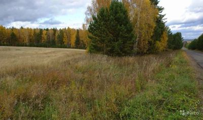 Лот: 10389858. Фото: 1. Меняю экологический фермерский... Автомобили