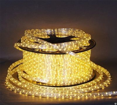 Лот: 16903201. Фото: 1. Дюралайт LED прямоугольный, 10x14... Гирлянды, шарики, новогодние аксессуары