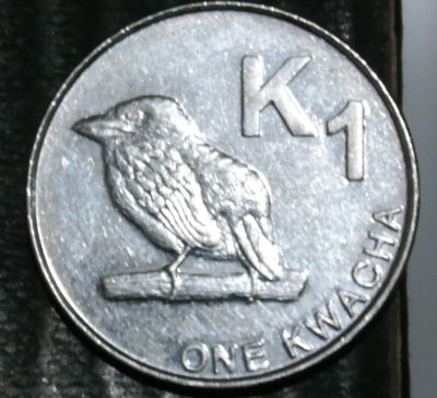Лот: 16979859. Фото: 1. Экзотика с рубля (24463) Замбия. Остальные страны