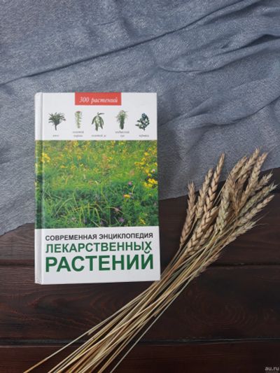 Лот: 12030131. Фото: 1. Современная энциклопедия лекарственных... Энциклопедии