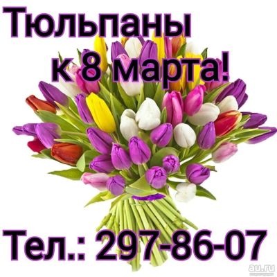 Лот: 9092166. Фото: 1. Тюльпаны к 8 марта!. Подарки на 8 марта
