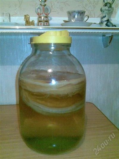 Лот: 2725900. Фото: 1. чайный гриб - вкусный и полезный... Чай, кофе, какао