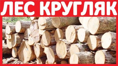Лот: 10999327. Фото: 1. Куплю кругляк (круглый лес). сосна... Материалы и сырьё
