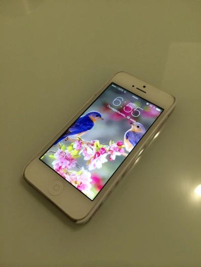 Лот: 4105160. Фото: 1. Apple iPhone 5 16gb белый. Смартфоны