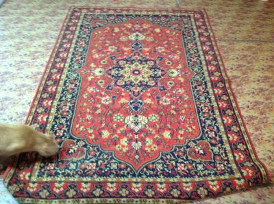 Лот: 4033826. Фото: 1. Ковер. Ковры