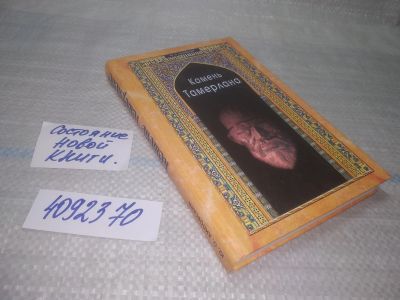 Лот: 25524112. Фото: 1. (4092370)Липовский Юрий. Камень... Художественная