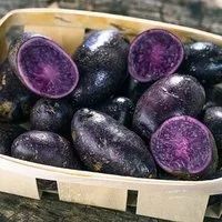 Лот: 16512521. Фото: 1. Картофель фиолетовый (черный картофель... Картофель