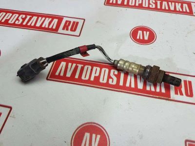 Лот: 20899035. Фото: 1. Датчик кислородный Toyota Raum... Электрооборудование