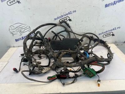 Лот: 24965216. Фото: 1. проводка подкапотная Ford Focus... Двигатель и элементы двигателя