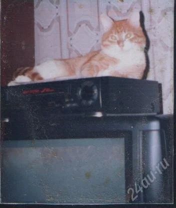 Лот: 2238167. Фото: 1. пишущий в/плеер (VHS) JVC P50. Видеомагнитофоны