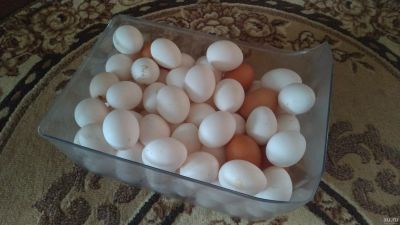 Лот: 17311996. Фото: 1. Яйцо куриное домашнее. Мясо, птица, яйцо