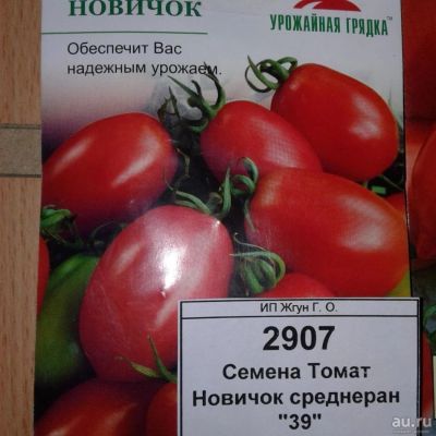 Лот: 9121685. Фото: 1. Семена / овощи / Томат / Новичок... Овощи