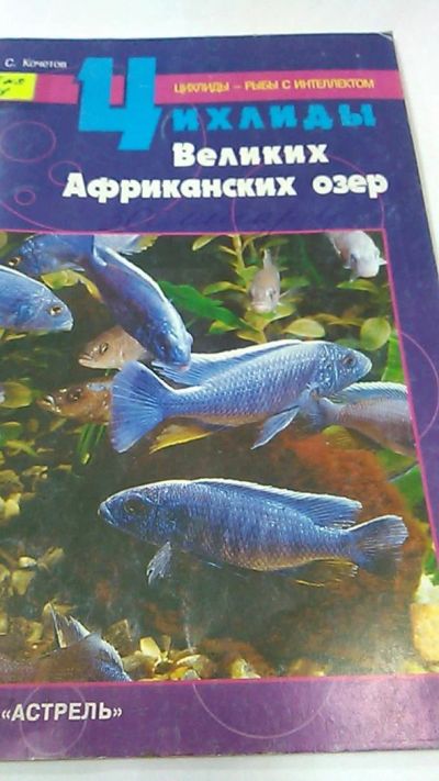 Лот: 9979311. Фото: 1. Книга. Цихлиды великих африканских... Другое (хобби, туризм, спорт)