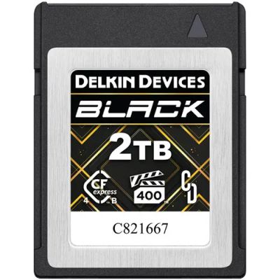 Лот: 25352358. Фото: 1. Карта памяти Delkin Devices 2TB... Карты памяти
