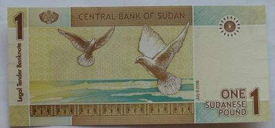 Лот: 11663175. Фото: 1. Судан 1 фунт 2006, без оборота. Африка