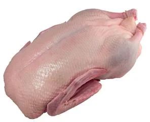 Лот: 4845393. Фото: 1. гусь деревенский. Мясо, птица, яйцо