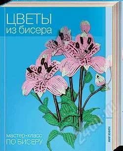 Лот: 873773. Фото: 1. Книги из серии "Мастер-класс по... Самоучители