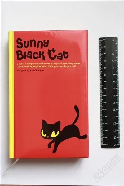 Лот: 790213. Фото: 1. Эксклюзивный личный дневник Sunny... Сувенирные мелочи