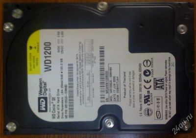 Лот: 924018. Фото: 1. HDD Western Digital Caviar 120... Жёсткие диски (HDD)