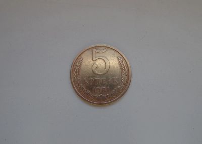 Лот: 4909235. Фото: 1. 5 копеек 1981 года. Россия и СССР 1917-1991 года