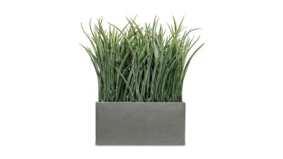 Лот: 24700263. Фото: 1. Бонсай Grass 28 см. Другое (предметы интерьера)