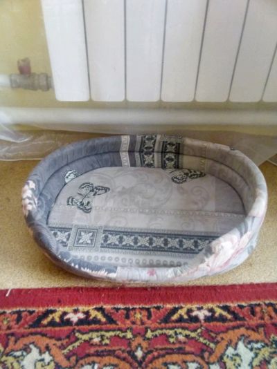 Лот: 11398303. Фото: 1. Диванчик для котика. Домики, переноски, клетки, когтеточки