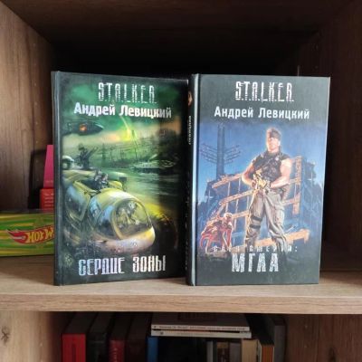 Лот: 23307083. Фото: 1. Книги Сталкер Левицкий Андрей. Художественная